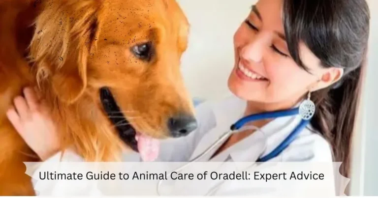 Ultimate Guide to Animal Care of Oradell: Expert Advice