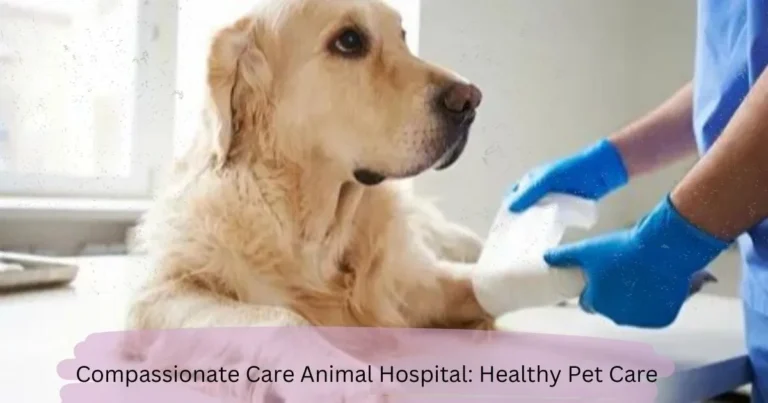 Compassionate Care Animal Hospital: Healthy Pet Care