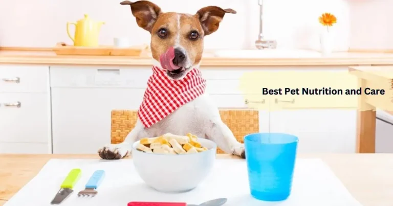 best pet nutrition and care