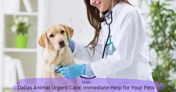 Dallas Animal Urgent Care: Immediate Help for Your Pets