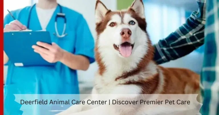 Deerfield Animal Care Center | Discover Premier Pet Care