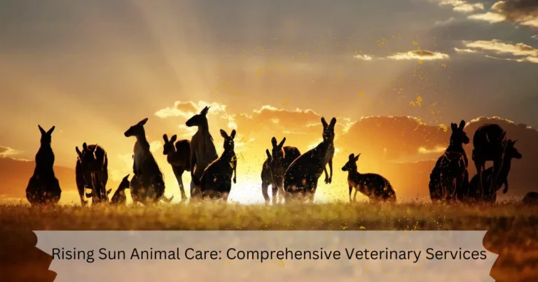 Rising Sun Animal Care: Comprehensive Veterinary Services