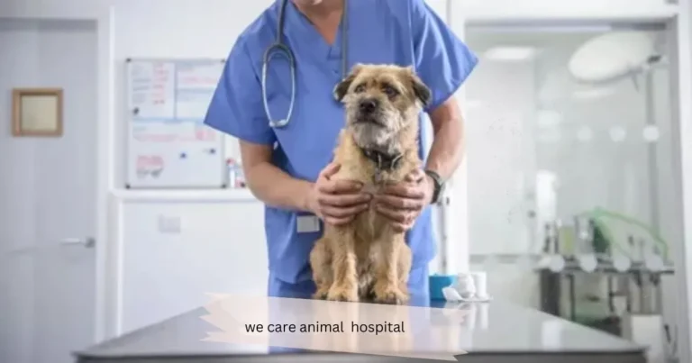 We Care Animal Hospital Devoted to Your Pet's Well-being